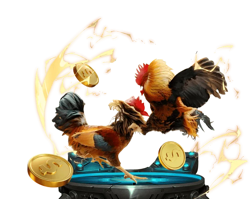 Báo cáo trải nghiệm casino trực tiếp e2bet casino